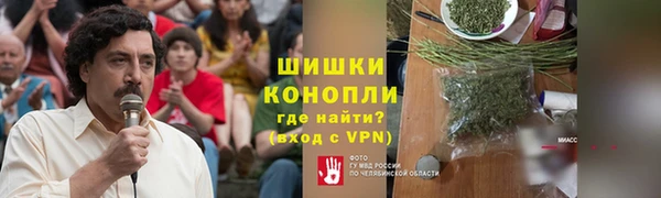 apvp Вяземский