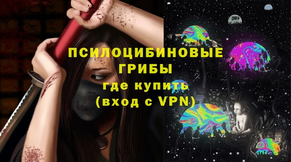 apvp Вяземский